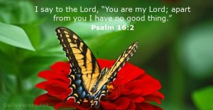 psalms-16-2