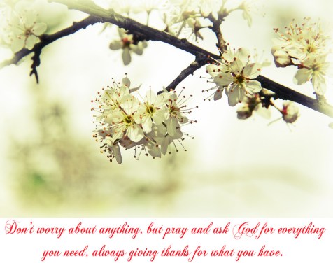 14036821596_74ddb6f942_b