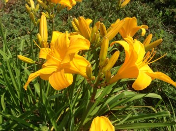 14555516380_608bb6cf59_b