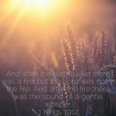 cd2414786684b38df3513695754f56d6