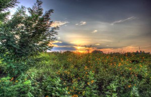 illinois-chain-o-lakes-state-park-beautiful-sunset