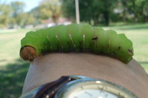 4zrlezll1zmhhr9hrreh3hnhyh8lez8lnzzlvhxh3h4lzrphjhih8zih8zxh4z7ljh7lyhgl1z2hrrnhwzxljhph1h