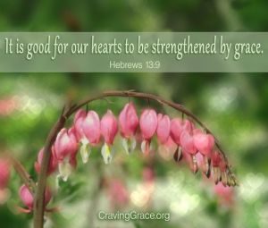 8e6cae54b44602c70a38b559ffda8a20