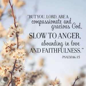 9bb308bd737210e14cfcf30e26cc5230