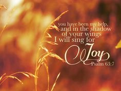 ccf88a0f00dc4247ec9a0bdbbce5efed