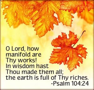 eb294d77c50a31099110775bb781b17f