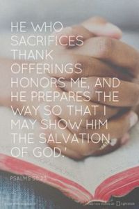 2d281249e64e36d7add17fac48949f14