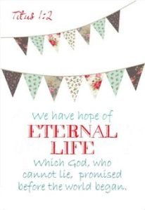 8eeed79ac799fdd70a8953ce47c67fef