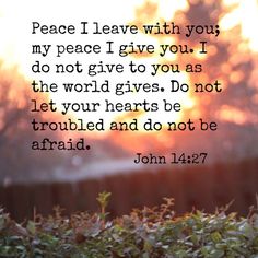 11ce0297cfe3b2d0879b4c60de3e690a