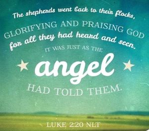 180ea935bbd082f2641f7b0fe5a90134