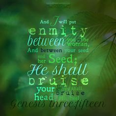 c34e1b1d9731865f491ad7183b3bb8de