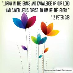 56032282fe22af8fe55c7042d8f2e482