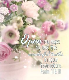 a99cc0cb123d9efc9d13ee2f1d2b5efa