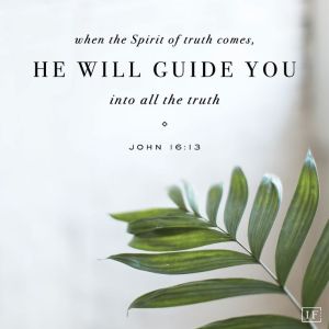 edb56a072ecde99e819c5666a6bd4c6f