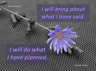 75f5172812b8d04acc07a537b1bbaf7b