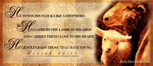 isaiah-40-11