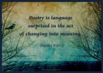 poetry-is-language-surprised-in-the-act-of-changing-into-meaning